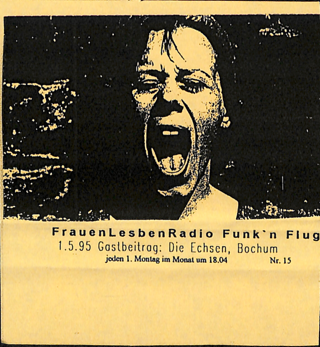 "Gastbeitrag: Die Echsen, Bochum" Sendung vom 01.05.1995