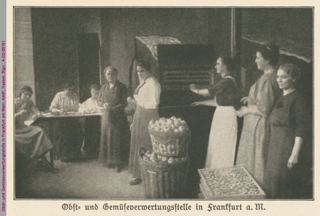 Frauen in einer Obst- und Gemüseverwertungsstelle in Frankfurt am Main, Erster Weltkrieg