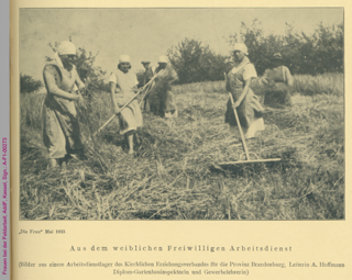 Frauen bei der Feldarbeit, Freiwilliger Arbeitsdienst